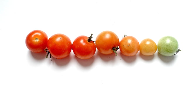 assorted-color tomatoes thumbnail