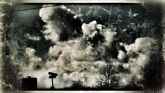 silhouette photograph of trees under clouds thumbnail