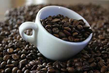 brown coffee bean in white teacup thumbnail