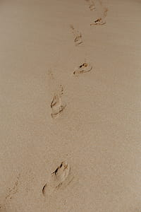 Footprints on a sandy beach, Portugal thumbnail
