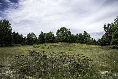 Sand dunes, trees, and landscape at Whitefish Dunes State Park, Wisconsin thumbnail