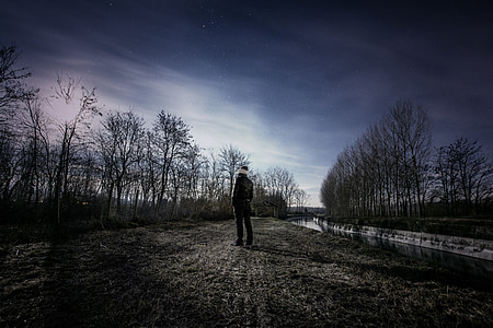 person standing in between tree under white clouds and blue sky thumbnail