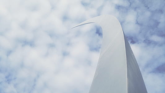 architectural photography of white curved building thumbnail