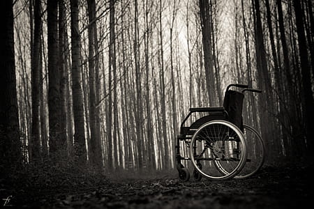 black wheelchair in woods thumbnail