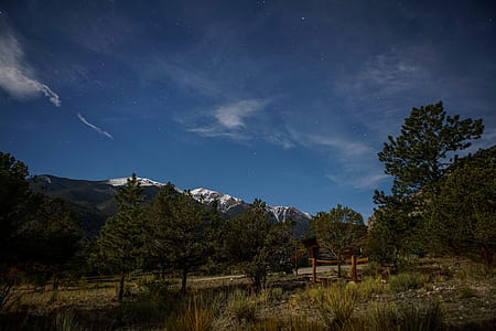landscape photography of trees and mountain thumbnail