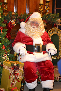 person wearing Santa Claus costume sitting beside Christmas Tree thumbnail