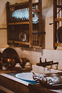 two grey dead rabbits on plate near the sink thumbnail