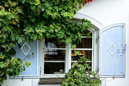 opened blue wooden windows of white building thumbnail