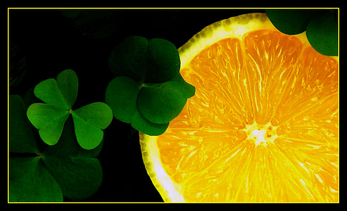 closeup photo of orange and clover leaf thumbnail