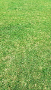 green grass field thumbnail