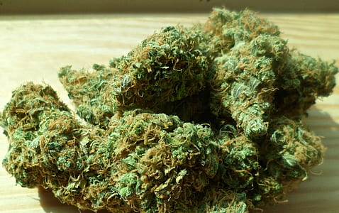 green cannabis buds thumbnail