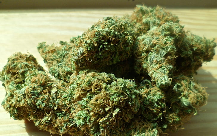 cannabis-marijuana-green-drug.jpg