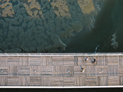 aerial photography of people on bridge thumbnail
