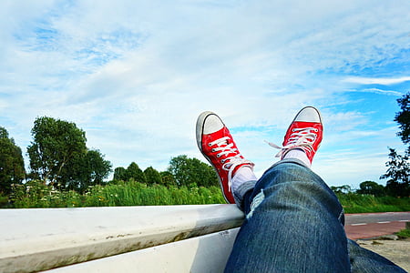 person wearing pair of red low-top sneakers thumbnail