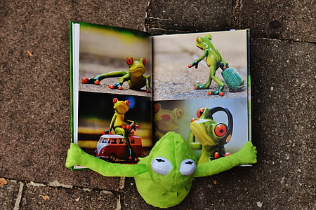 flat lay photography of frog plush toy reading book thumbnail