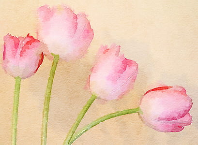 four pink flowers painting thumbnail