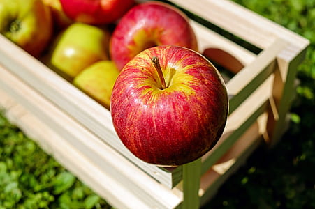 red and yellow apple thumbnail
