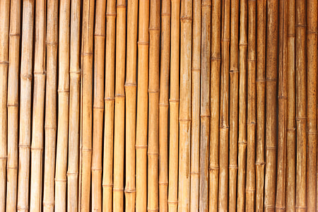 brown bamboos thumbnail