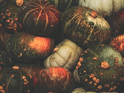 Close-up Photo of Squash thumbnail