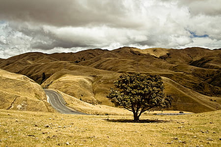 empty asphalt road thumbnail