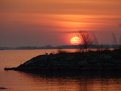 sunset over river with ducks thumbnail