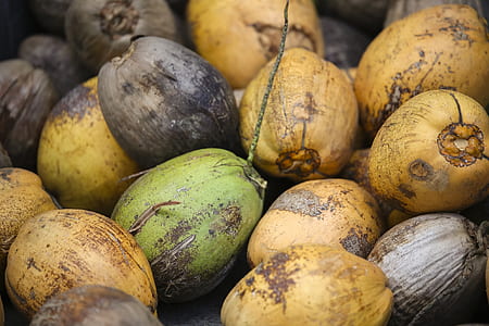 coconut fruit lot thumbnail