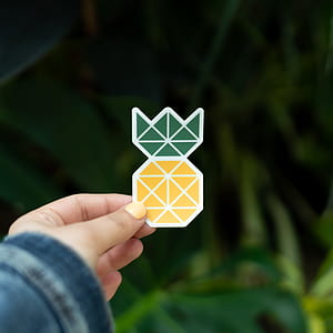 person holding pineapple sticker thumbnail