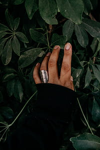 closeup photo of person's hand touching plant thumbnail
