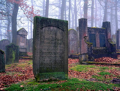 lined tombstones thumbnail