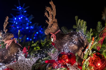 multicolored deer decor on Christmas tree and red baubles thumbnail