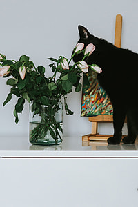 Black cat with flowers and a painting thumbnail