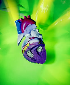 plastic heart toy thumbnail