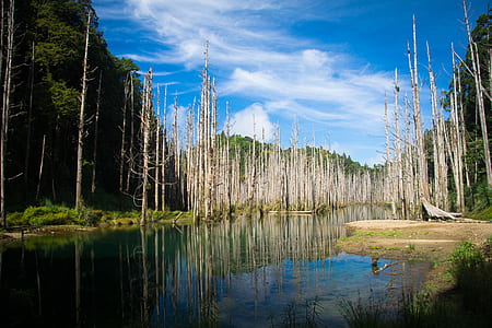 Lake Photo during Daytime thumbnail