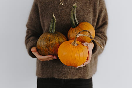 Women's hands in sweater are holding pumpkin thumbnail