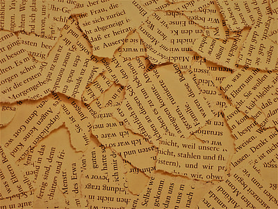 pile of teared papers thumbnail