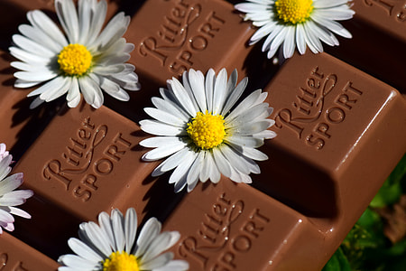 white daisy flowers on chocolate bar thumbnail
