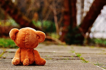 brown teddy bear sitting on grey concrete floor facing backwards thumbnail