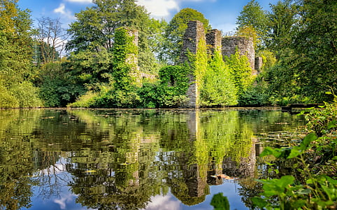 green trees reflecting on body of water under blue sky at daytime thumbnail