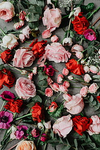 Flowers flat lay thumbnail