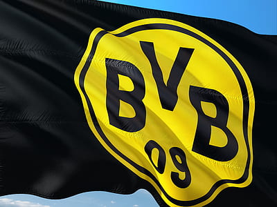 black and yellow banner thumbnail