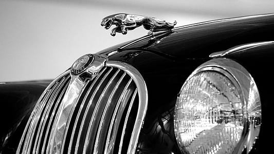 close-up photography of Jaguar vehicle thumbnail