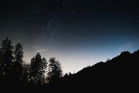 silhouette photo of mountain and trees thumbnail