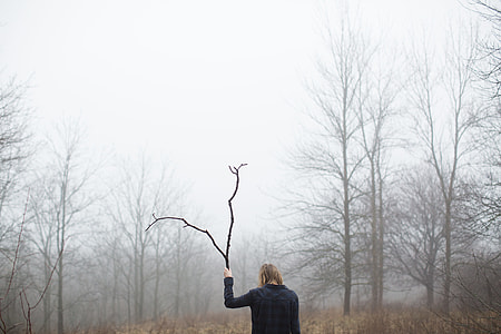 person holding branch raising up during daytime thumbnail