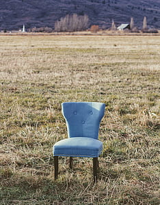 tufted gray padded chair on grass field thumbnail