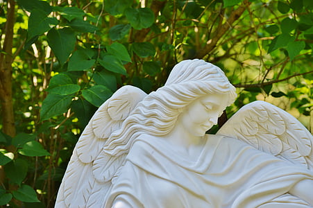 female angel statue near tree thumbnail