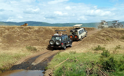 two white and black cars on road between brown grass field thumbnail