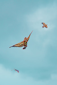 selective focus photography of multicolored kite under blue sky thumbnail