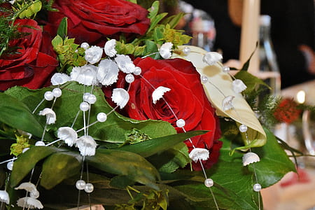 red rose flowers with green leaves thumbnail