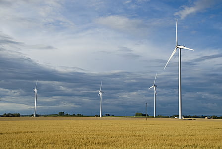 landscape photography of brown grass field and windmills thumbnail