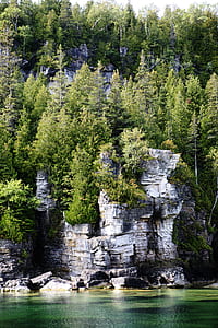 forest trees on mountain near on body of water thumbnail